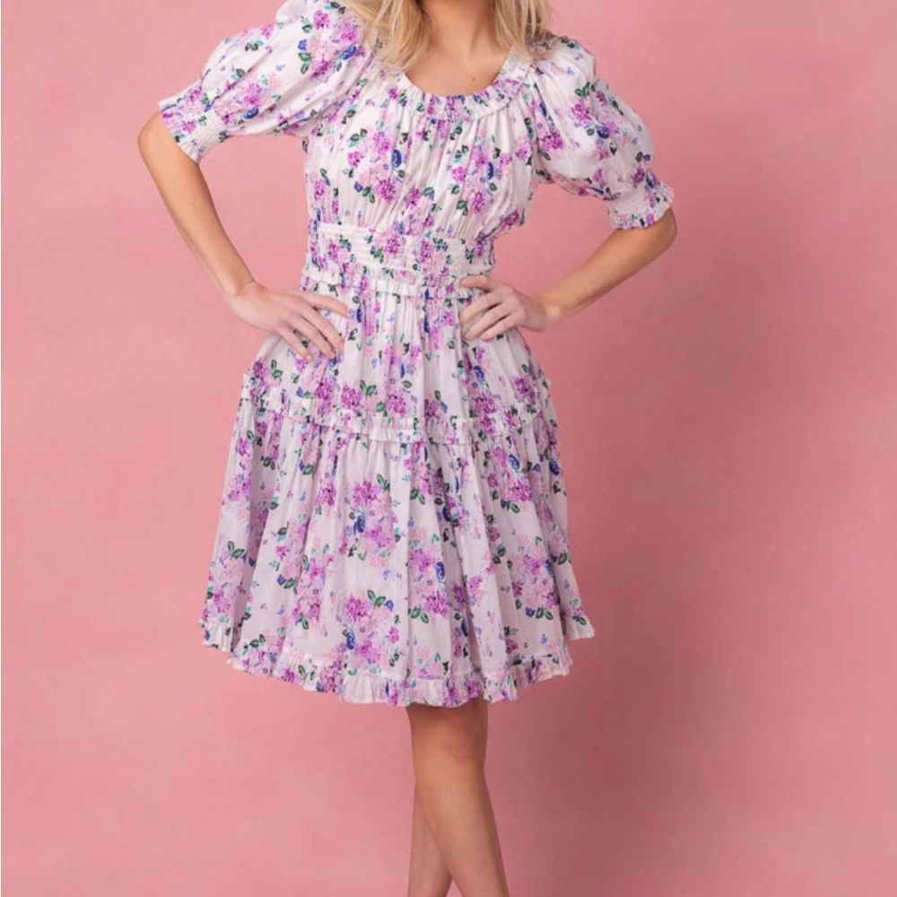 Ivy City Ellora dress 3X